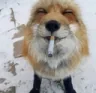 :mem_real_FoxSmoking: